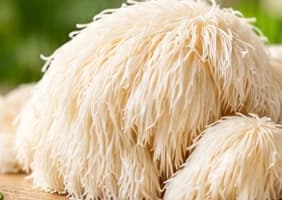 Lion's Mane mushrooms